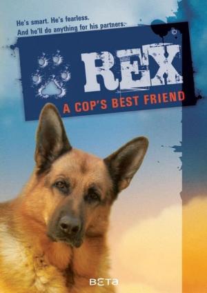REX [Spanish]