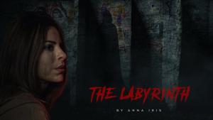 The Labyrinth [Hindi]