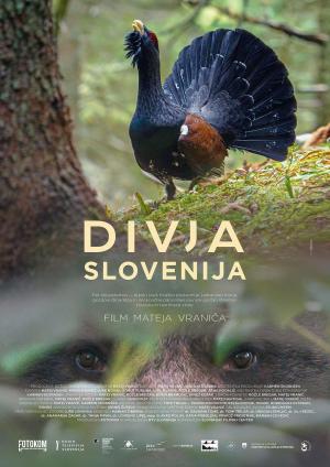 Divja Slovenija [Version française]