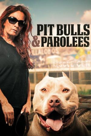 Pit Bulls and Parolees - 123Movies