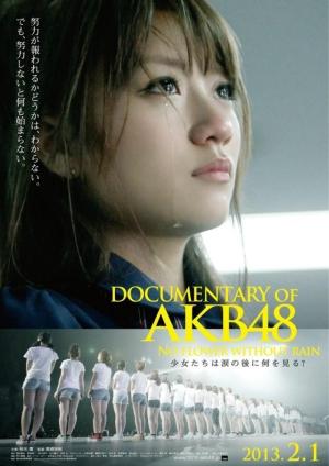 Documentary of AKB48: No Flower Without Rain [Indonesian]