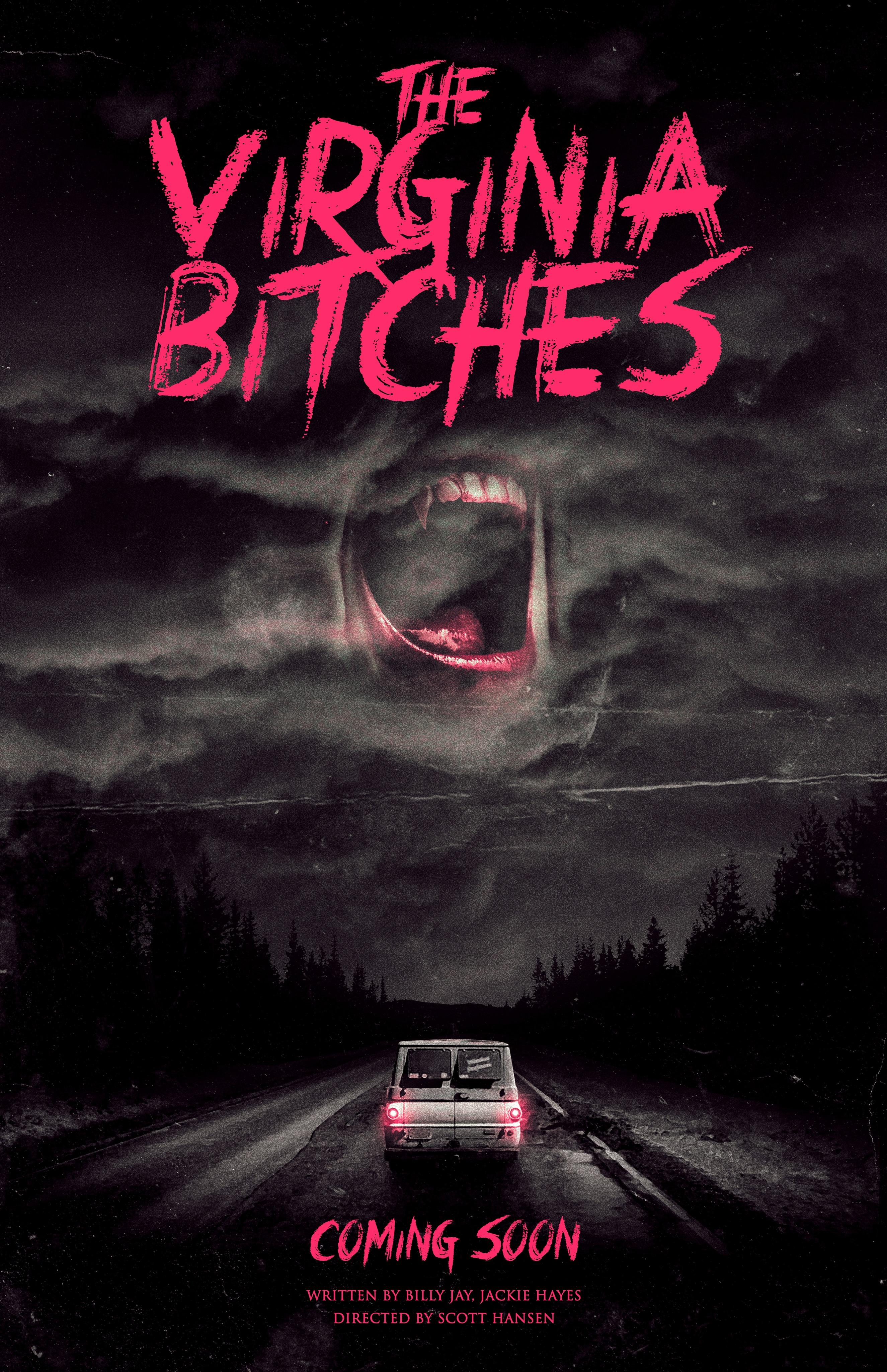 The Virginia Bitches poster