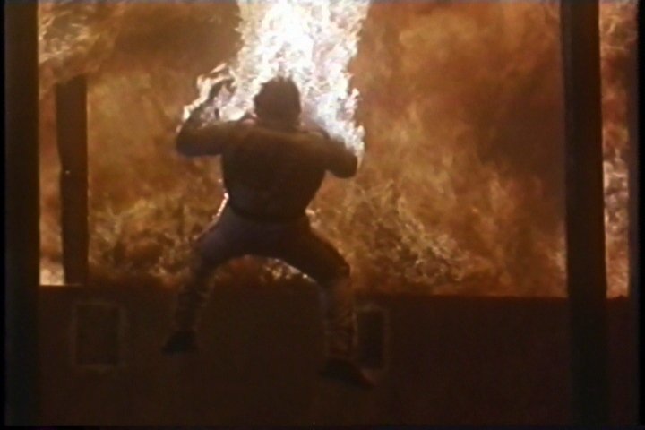 actor Steve Hart large photo