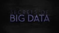 Secrets of Big Data