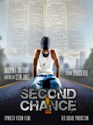 Second Chance [Hindi]