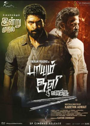Paayum Oli Nee Yenakku [Tamil]