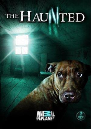 The Haunted [Version française] S1-S2