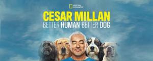 Cesar Millan: Better Human Better Dog S1-S4