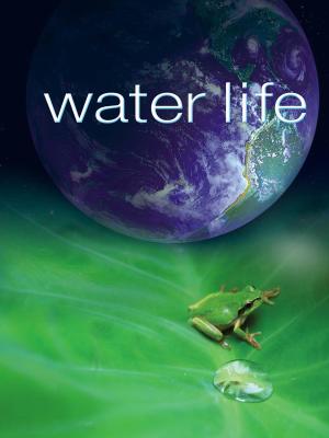 Water Life [Russian]