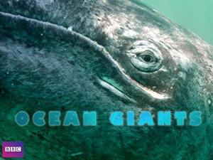 Ocean Giants [ترجمة عربية]