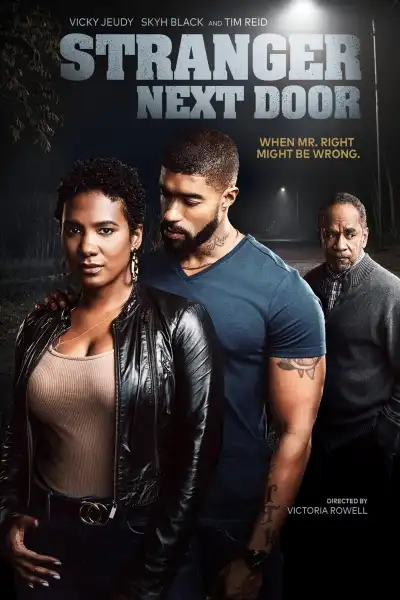Stranger Next Door poster