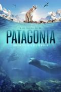 Patagonia