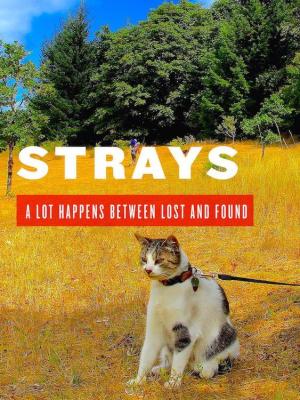 Strays [Hindi]