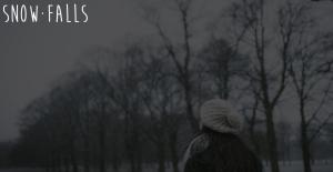 Snow Falls