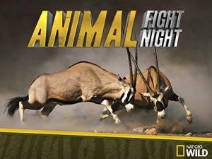 Animal Fight Night [Portuguese]