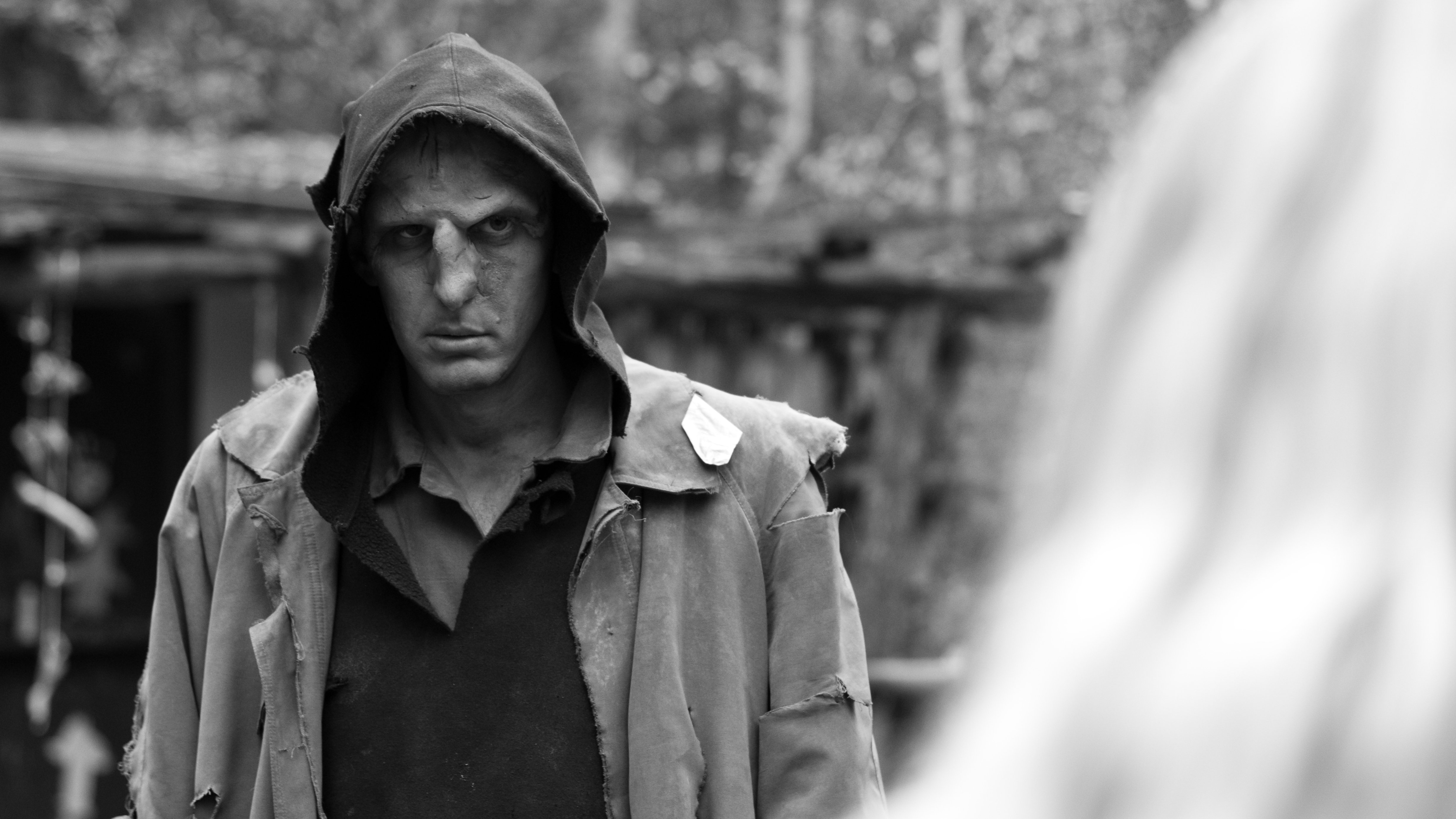 actor Tom Antoni large photo