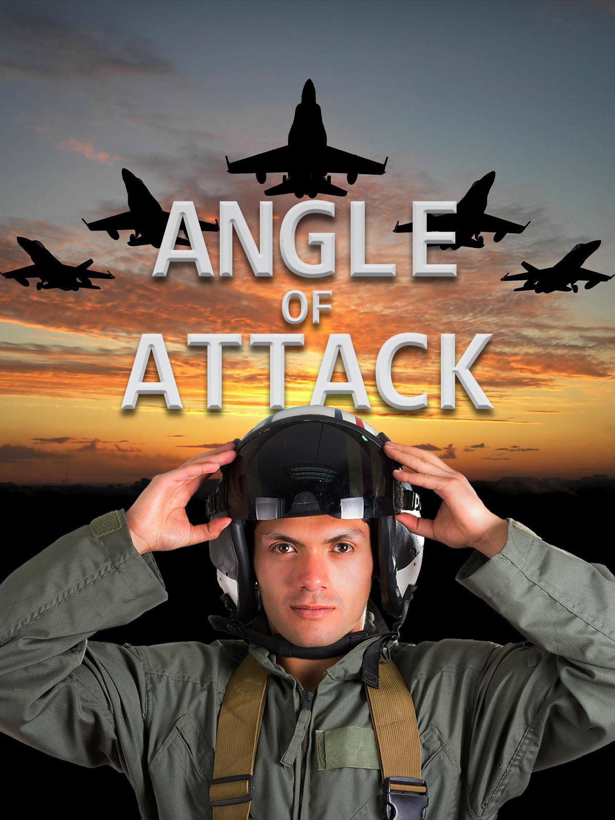 Angle of Attack: How Naval Aviation Changed the Face of War - like Nénette but shorter