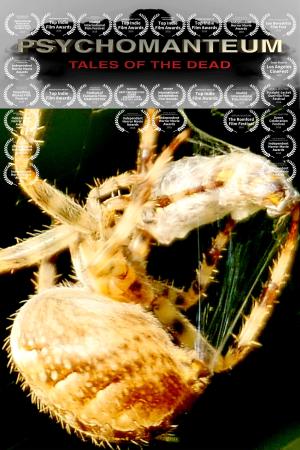 Psychomanteum [Russian]