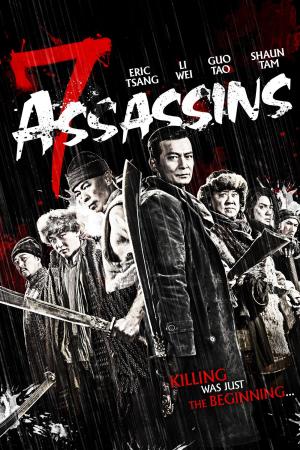 7 Assassins [Hindi]