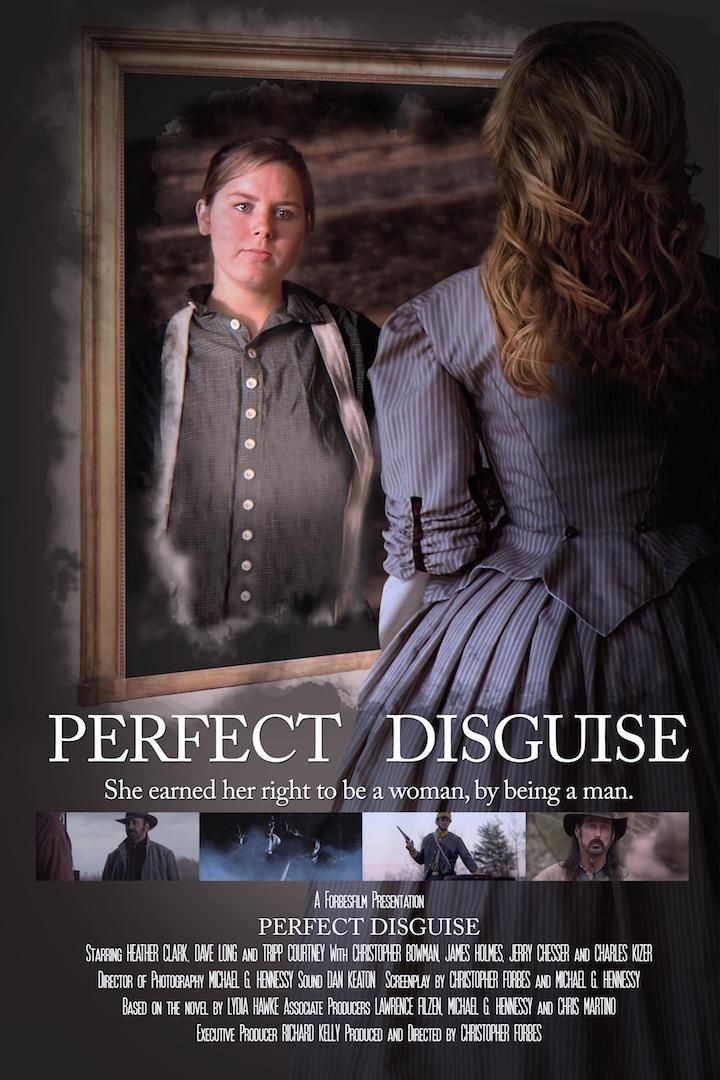 Perfect Disguise poster