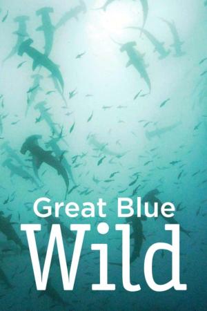 Great Blue Wild S1-S3