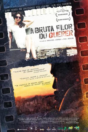 A Bruta Flor do Querer [Portuguese]