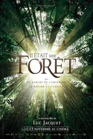 Once Upon a Forest [Version française]