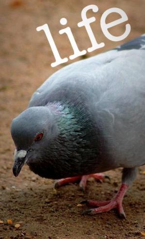 Life [Hindi]
