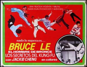 Bruce's Secret Kung Fu