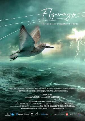 Flyways: the untold journey of migratory shorebirds [Version française]