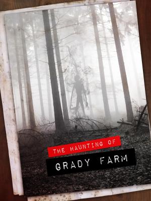 The Haunting of Grady Farm [Hindi]
