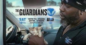 The Guardians