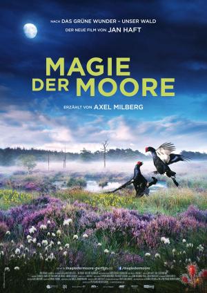 Magie der Moore [Version française]
