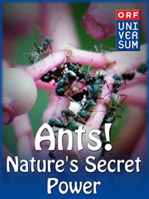 Ants: Nature's Secret Power [Russian]