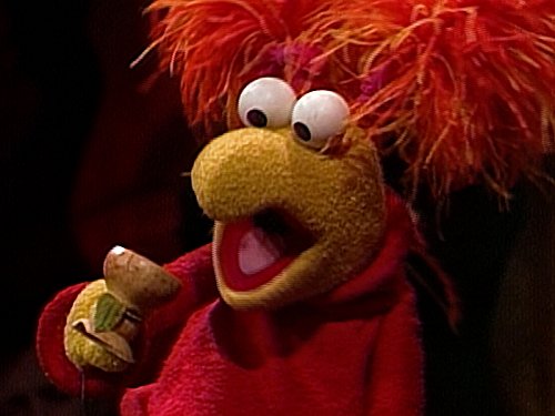 actor Karen Prell large photo