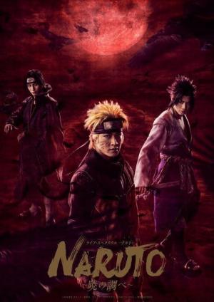 Naruto [Hindi]