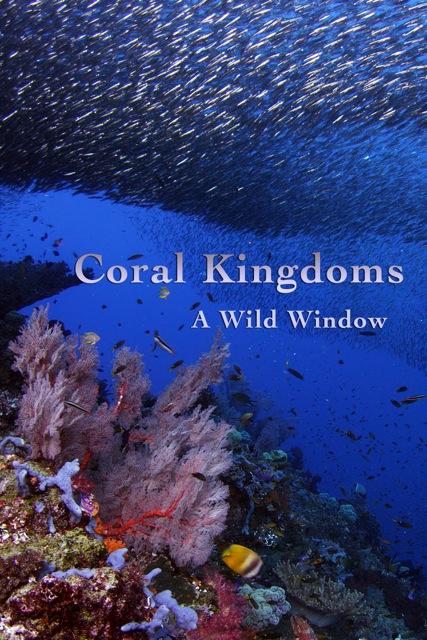 Wild Window: Coral Kingdoms - like Missing 411 but shorter