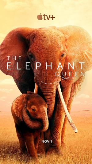 The Elephant Queen [Hindi]