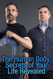 The Human Body: Secrets of Your Life Revealed
