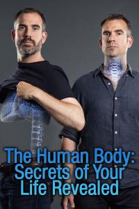 The Human Body: Secrets of Your Life Revealed