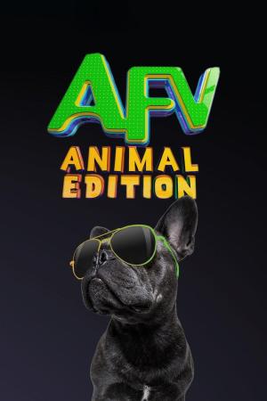 America's Funniest Home Videos: Animal Edition [Portuguese] S1-S2