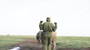 Kifaru [Version française]