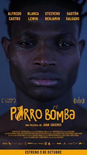 Perro Bomba [Spanish]