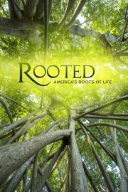 Roots of Life