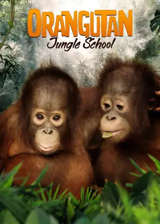 Orangutan Jungle School