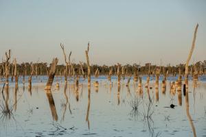 The Lake of Scars