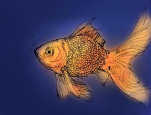 Goldfish [ترجمة عربية]