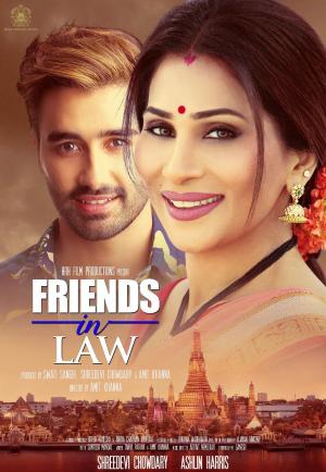 Friends In Law [Punjabi]