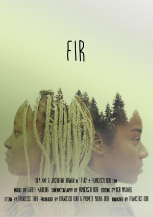 Fir [Hindi]