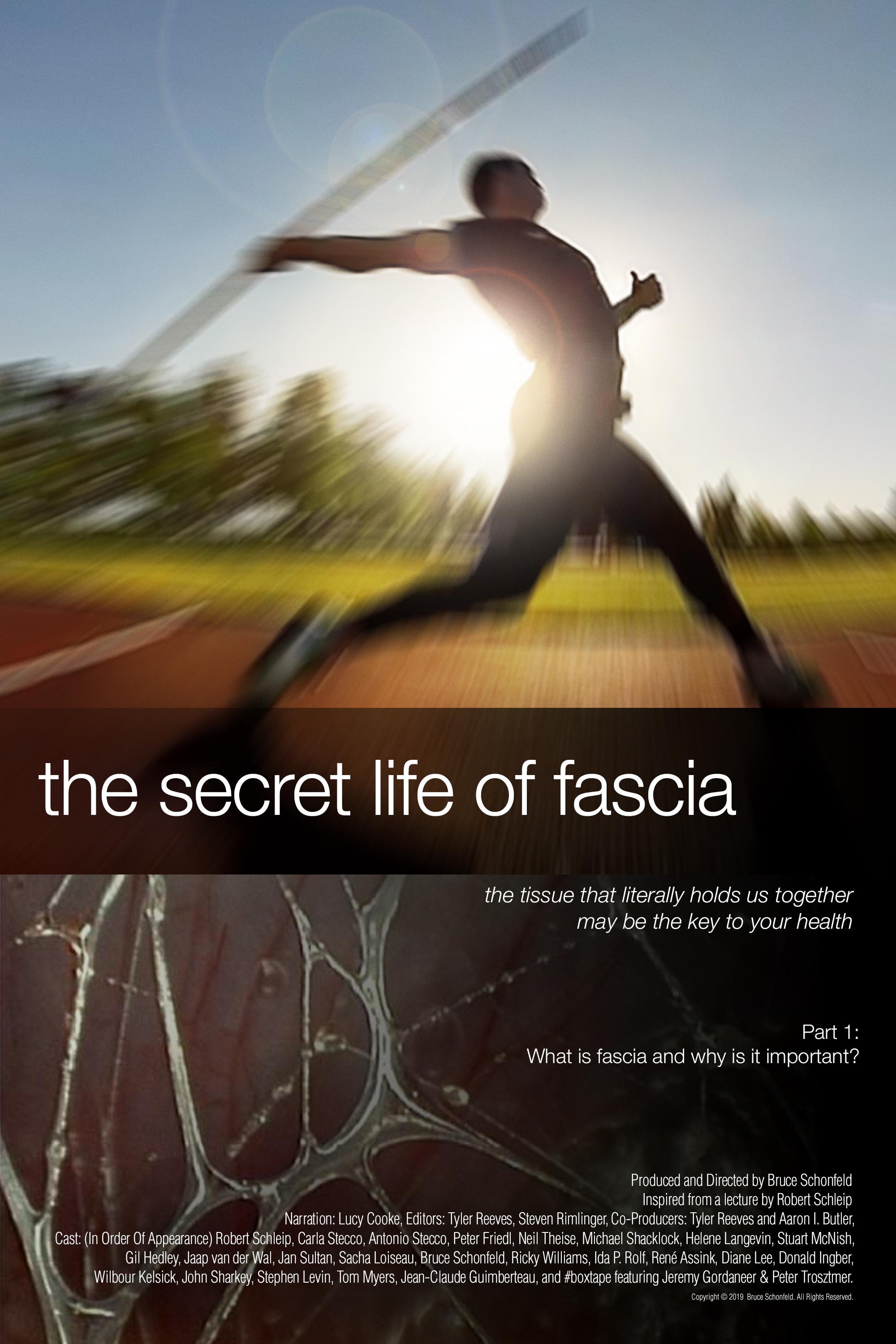 The Secret Life of Fascia poster